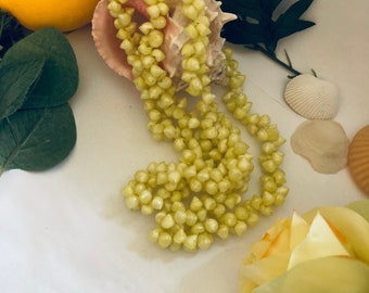 Yellow Shell Necklace Vintage With Tiny Littorina Nerite Sea Shells Beach Coastal Summer Hippie Boho Jewelry Gift