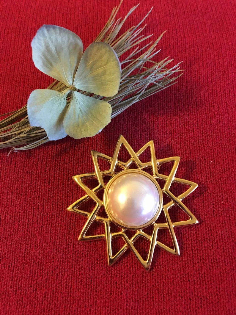 May include: A gold-toned starburst brooch with a large, pearlescent center stone. The brooch is set against a red background, with a sprig of dried pine needles and a pale green flower in the upper left corner.