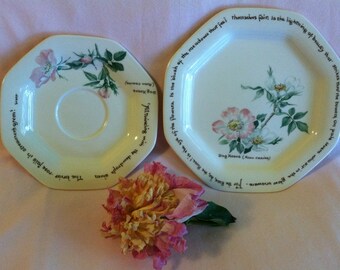 Dogwood Rose Noritake Plates The Country Diary of an Edwardian Lady Edith Holden 1906 Poetry Pink White Floral Dessert Dishes Vintage 1970s
