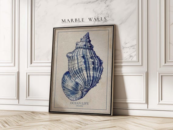 Vintage Seashell Wall Art Print Nautical Shell Poster Coastal Beach House Decor Ocean Life