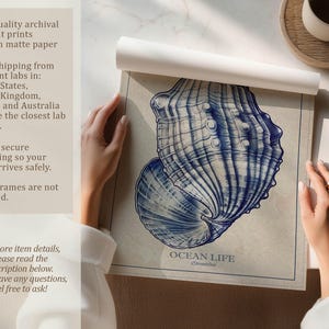 Hand-rolled art print of a blue seashell on matte beige paper being unrolled on a table by two hands with visible text about high-quality matte paper, local print labs and secure packaging.