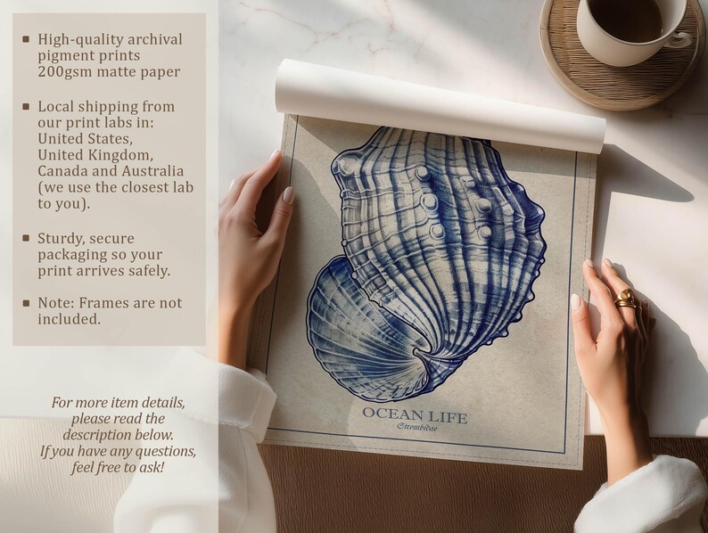 Hand-rolled art print of a blue seashell on matte beige paper being unrolled on a table by two hands with visible text about high-quality matte paper, local print labs and secure packaging.
