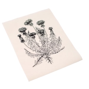 May include: A black and white line drawing of a cluster of dandelion flowers on a white background.