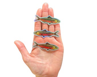 Paquete de 3 pegatinas holográficas de Little Fish
