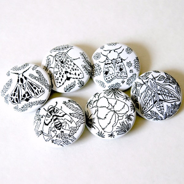 Tiny Moths Six Pinback Button Set