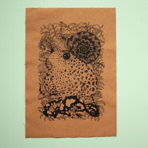 Peut inclure: Une illustration en noir et blanc d'un crapaud, d'un escargot et d'une salamandre sur un fond brun. Le crapaud est assis sur l'escargot et la salamandre est enroulée sous le crapaud.