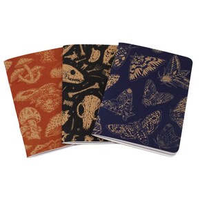 A set of three kraft cardstock pocket notebooks with natural illustration patters on the outside. One is print in blue ink with moths, one is black ink with skulls, and the third is red ink with various mushrooms and fungi.