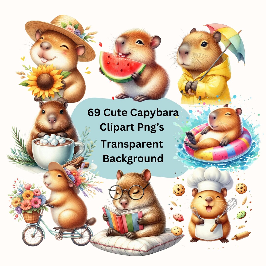 Capybara Clipart 69 PNG Bundle, Cute Capybaras Graphics for Kids ...