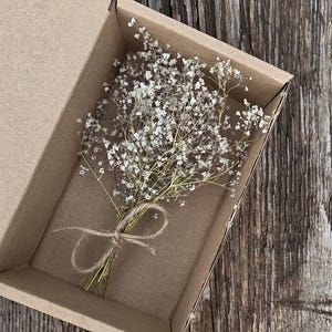 Peut inclure: Un petit bouquet de fleurs séchées gypsophile blanches noué avec un fin ruban de jute marron, placé à l'intérieur d'une boîte en carton marron rectangulaire. Les délicates fleurs blanches sont regroupées sur de fines tiges vert clair.