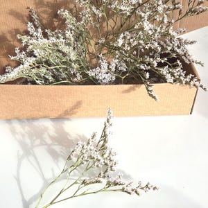 Small German Statice Stems, White Dried Flowers for DIY Wedding Decors & Wreath making supplies