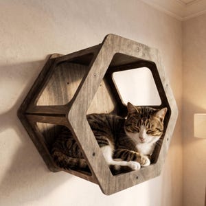 Puede incluir: Estante de madera para gatos con diseño geométrico, montado en una pared. Un gato atigrado descansa dentro del estante. El estante es de madera marrón claro con un borde marrón oscuro.