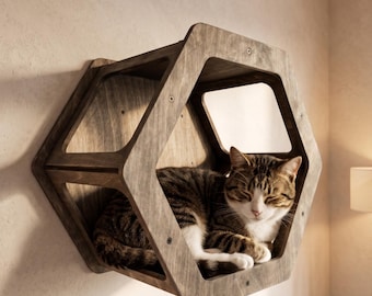 Estante hexagonal de madera hecho a mano para gatos, cama grande para gatos, muebles de pared de abedul para gatos,