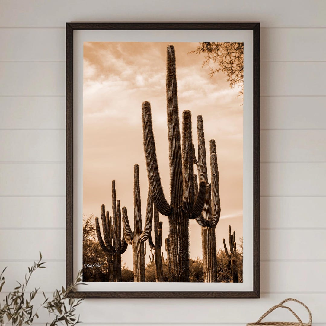 Sepia Saguaro Cactus Wall Art – Southwest Desert Photography Print ...