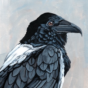 Raven Art Print, Black Bird, Black and White Art, Pied Crow, Crow, Acrylic Painting, Bird Art Print, Raven Home Decor, Wall Art, PoofyDove