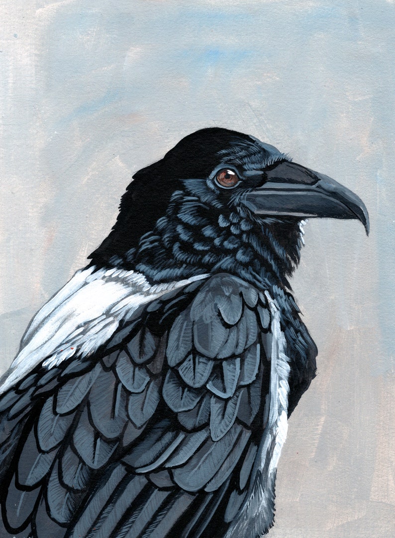 Raven Art Print Black Bird Black and White Art Pied Crow | Etsy