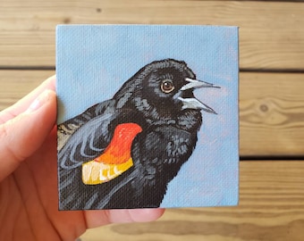 Red-Winged Blackbird, miniature painting on canvas 3" x 3" wall art