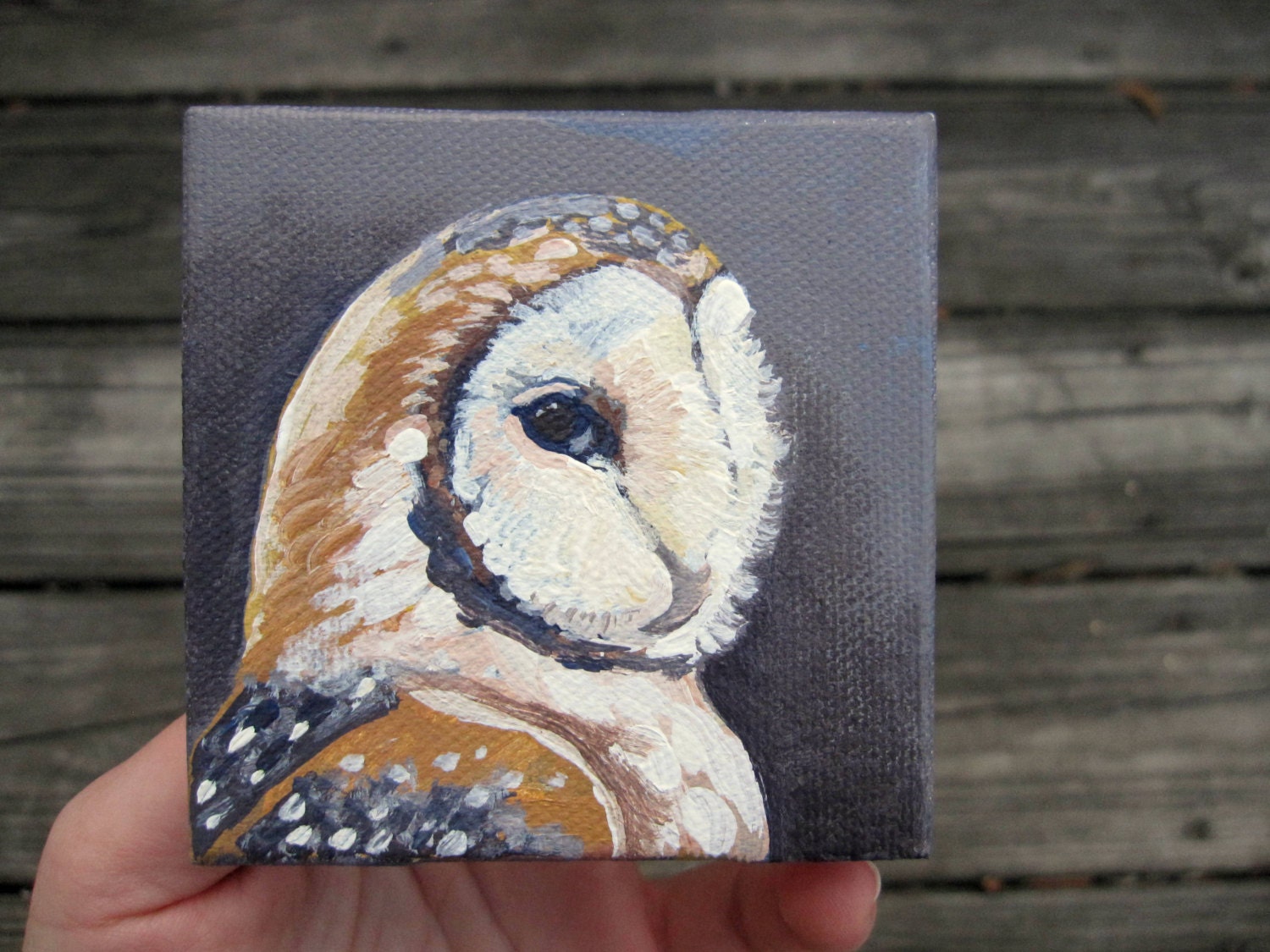 Barn Owl Portrait- Original Miniature Painting - Woodland Wall Decor