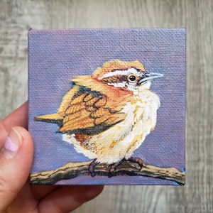 Carolina Wren painting, original miniature painting 3" x 3" wall decor
