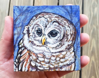 Barred Owl "who cooks for you", original miniature painting on canvas