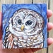 see more listings in the Miniature Paintings section