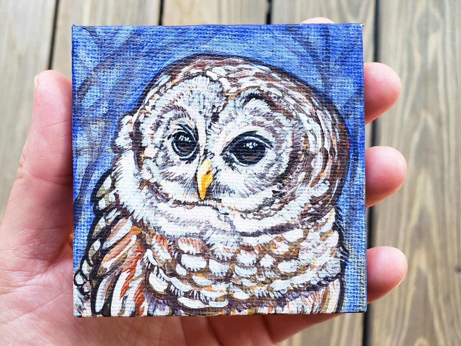 Barred Owl "who cooks for you", original miniature painting on canvas