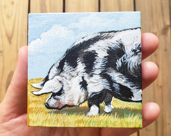 KuneKune Pig, original acrylic painting on canvas