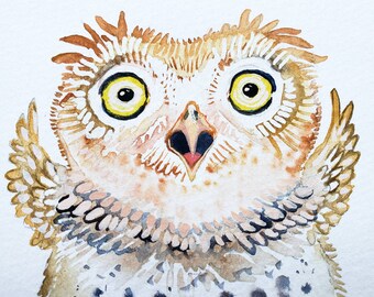 Shocked Owl, an original watercolor painting by Poofydove