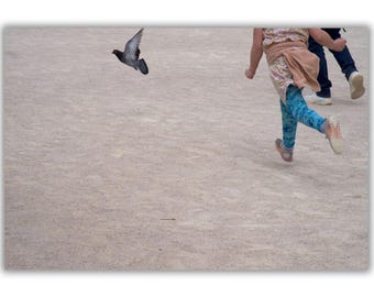 Pigeon Chase™