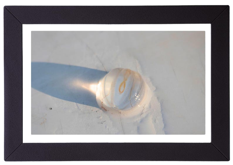 May include: A framed photograph featuring a close-up of a translucent, spherical object with a swirling, marbled pattern in shades of white and gold. The object casts a long shadow on a light-colored surface.