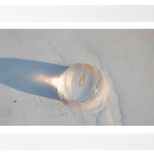 May include: A framed photograph of a sand dollar on a sandy surface. The sand dollar is white with a yellow-orange design. The image is lit by sunlight, casting a shadow.