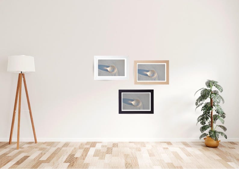 May include: Three framed prints of a glass object on a sandy surface, each with a different frame color: white, tan, and black. The prints are mounted on a white wall, with a wooden floor and a floor lamp with a white shade.