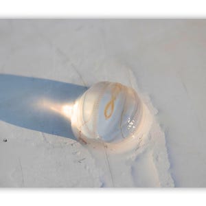 May include: A translucent, ribbed object with a central, yellowish-brown core rests on a white surface. The object casts a long shadow, suggesting sunlight. The overall scene evokes a sense of natural beauty and simplicity.