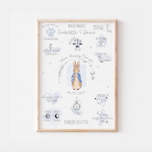 Puede incluir: Un estampado enmarcado para guardería con una ilustración de acuarela de un conejo con una chaqueta azul. El estampado incluye el nombre del bebé, la fecha de nacimiento, el peso y otros detalles, con una combinación de colores azul claro y beige.