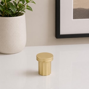 May include: A small, gold-colored decorative knob with a cylindrical body and a flat, round top. The body has vertical, ridged detailing. The knob is sitting on a white surface, with a potted plant and framed artwork in the background.