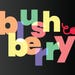 BlushberryPK store logo
