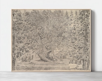 May include: A black and white engraving depicting a large tree with a group of people gathered around it. The tree is in the centre of the image and is surrounded by smaller trees and bushes. The people are standing and sitting around the tree, some are talking and others are looking at the tree.