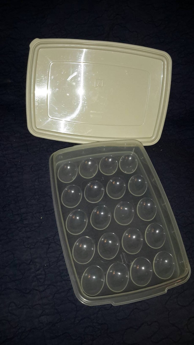 Egg Carrying Rubbermaid Storage Holds 20 Easter Or Deviled Etsy