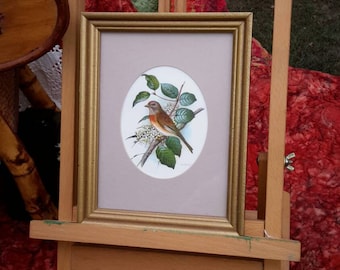 Framed Art Robin On Floral Branch Mauve Mat Gilded Frame Audubon Gift Decor by AntiquesandVaria