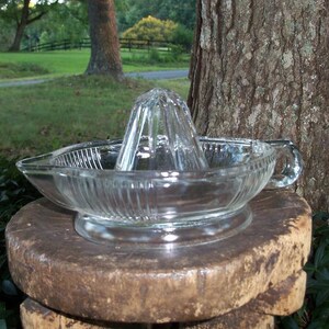 May include: A clear glass citrus juicer with a reamer and a bowl with a handle. The bowl has vertical ridges. The juicer is sitting on a wooden surface, with a natural outdoor background.