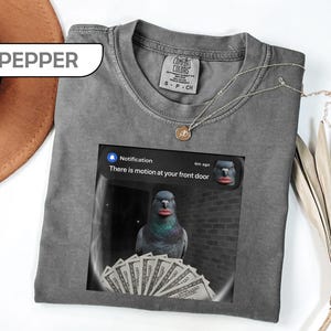 May include: A pepper-colored t-shirt featuring a graphic of a pigeon with red lips holding a fan of US dollar bills. The graphic mimics a doorbell camera notification with the text: Notification, 6m ago, There is motion at your front door.