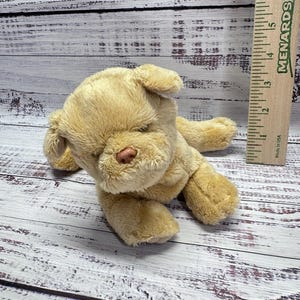 Op de afbeelding: Een zacht, bruin van kleur puppyhondje met een roze neus en gesloten ogen. Het speelgoed ligt op een lichtgekleurd houten oppervlak. Een houten liniaal met inch-maten staat op de achtergrond.