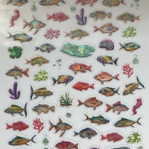 Op de afbeelding: Vel met kleurrijke visstickers met diverse ontwerpen, waaronder rode, gouden en blauwe vissen, samen met koraal- en zeewieraccenten. De stickers hebben een glanzende afwerking en zijn gerangschikt op een witte achtergrond. De tekst "Co-472" is zichtbaar.