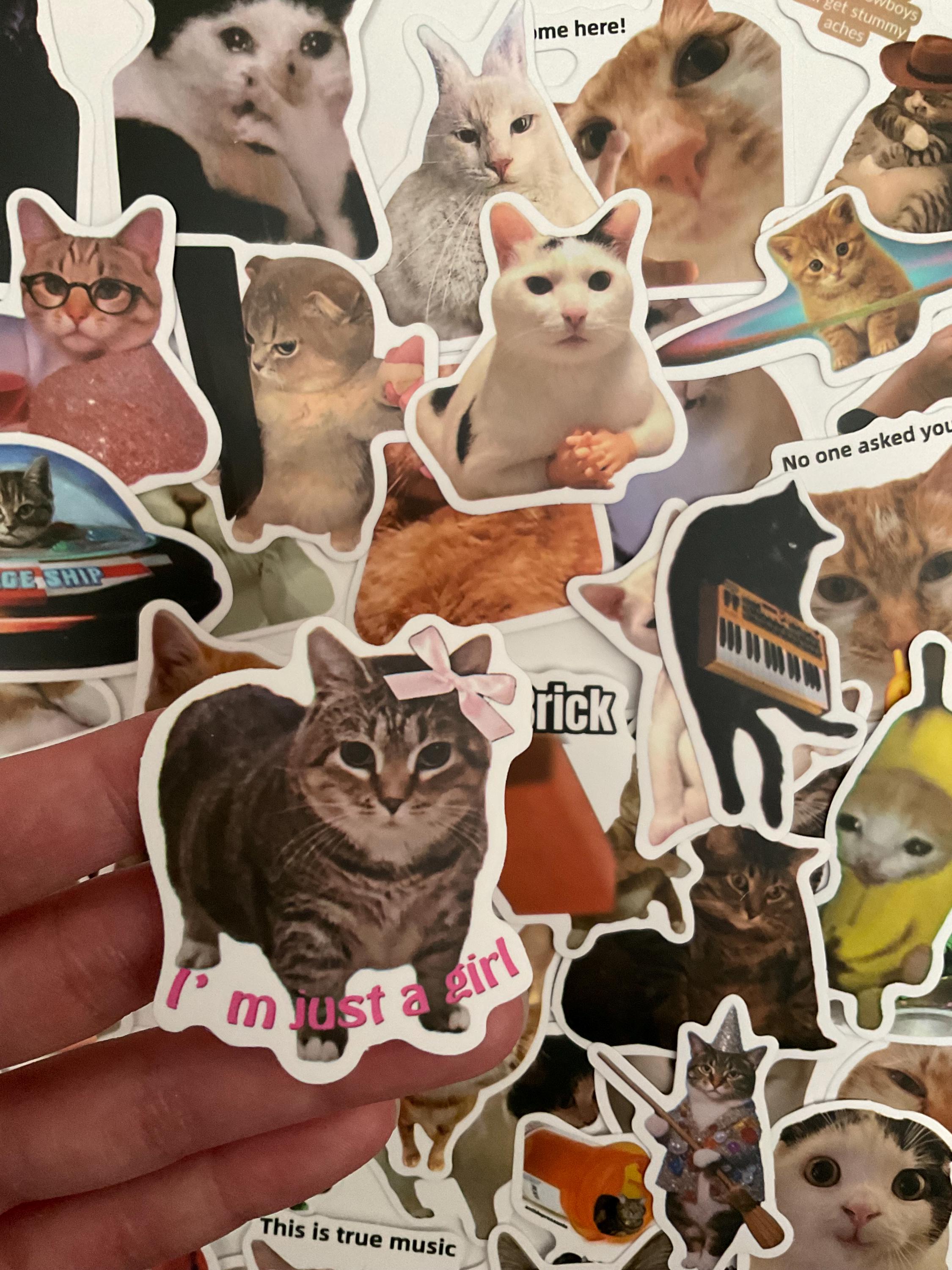 Funny Cat Dog Meme Stickers | Waterproof Decal Set - Etsy UK