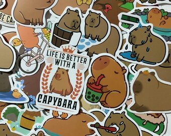 Capybara Stickers | Kawaii Animal Sticker Pack