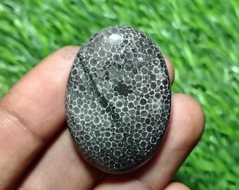Rare !! Black Fossil Coral Cabochon Natural Gemstone Making For Jewelry(Size 38X27X8mm) A-460