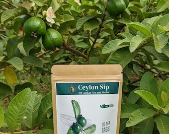 Hoja de guayaba sin cafeína / Té de hierbas de Sri Lanka (20 bolsitas de té)