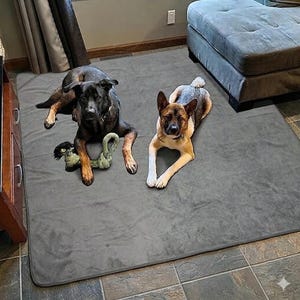 May include: Two dogs, one black and one brown and tan, are lying on a gray pet bed. The black dog has a green and tan rope toy. The brown and tan dog has white paws and chest. The dogs are looking at the camera.