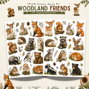 Puede incluir: Dos hojas de pegatinas tituladas Woodland Friends con ilustraciones de ciervo, zorro, ardilla, conejo, erizo, mapache, búho, tejón, oso, lobo y mofeta. Las hojas incluyen pequeños elementos botánicos como setas, hojas y bayas.