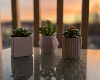 Succulent Pot | Flower Pot |