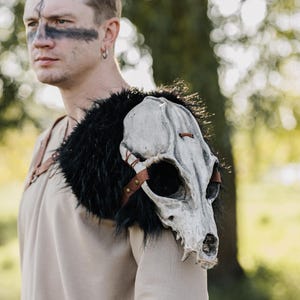 May include: A shoulder armor piece featuring a realistic off-white animal skull replica mounted on a base of thick black faux fur. The skull is secured with brown leather straps and metallic rivets, worn over a plain beige long-sleeve garment.
